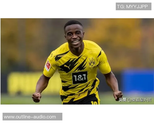 北欧足球之星：挪威芬兰丹麦的传奇球员与他们的辉煌成就