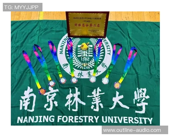 南京乒乓球队在锦标赛中的精彩表现与状态分析全景回顾 南京乒乓球队在锦标赛中的精彩表现与状态分析全景回顾