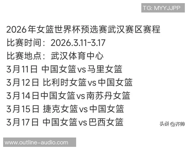 武汉篮球队在世界杯舞台上的拼搏历程与荣耀追寻