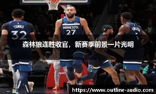 森林狼连胜收官，新赛季前景一片光明