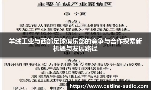 羊绒工业与西部足球俱乐部的竞争与合作探索新机遇与发展路径